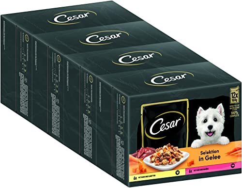 CESAR Adult Hundefutter nass - 4x12x100g Portionsbeutel - mit Huhn & Rind - Hundenassfutter in Gelee – Ausgewogenes Premium Nassfutter für Hunde - 4er Pack von Cesar