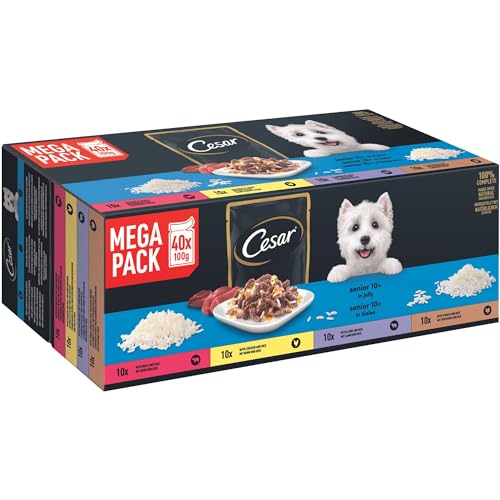 Cesar Selektion in Gelee Premium Hunde Nassfutter für Senior 10+ im Portionsbeutel Getreidefrei mit Superfoods in 4 Varietäten Megapack 40x100g von Cesar