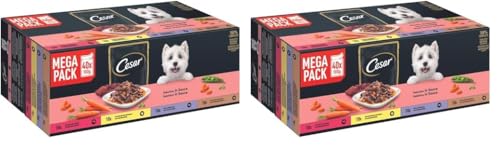 Cesar Selektion in Sauce Premium Hunde Nassfutter im Portionsbeutel 4 Varietäten 40x100g (Packung mit 2) von Cesar