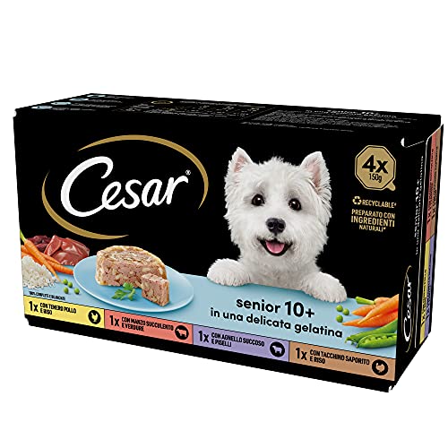 Cesar Senior 10+, Futter für ältere Hunde, Verschiedene Auswahl, 150 g, 24 Schalen - 3600 g von Cesar