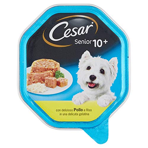 Cesar Senior Schale 24 x 150 g von Cesar