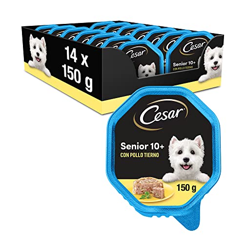Cesar Vital 10+ Hundefutter zartem Huhn und Reis, 24 Schalen (24 x 150 g) von CESAR