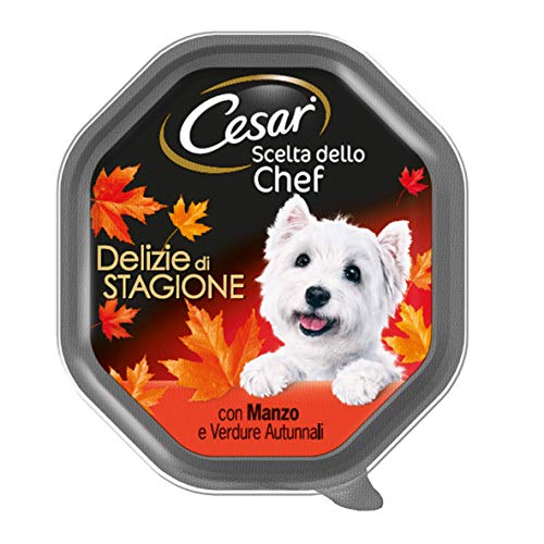 Cesar Wahl des Chefkochs, Nassfutter für Hunde, Leckereien der Saison mit Sukkulentenfleisch, Kartoffeln und Karotten – 14 Schalen à 150 g: insgesamt 2100 g von Cesar