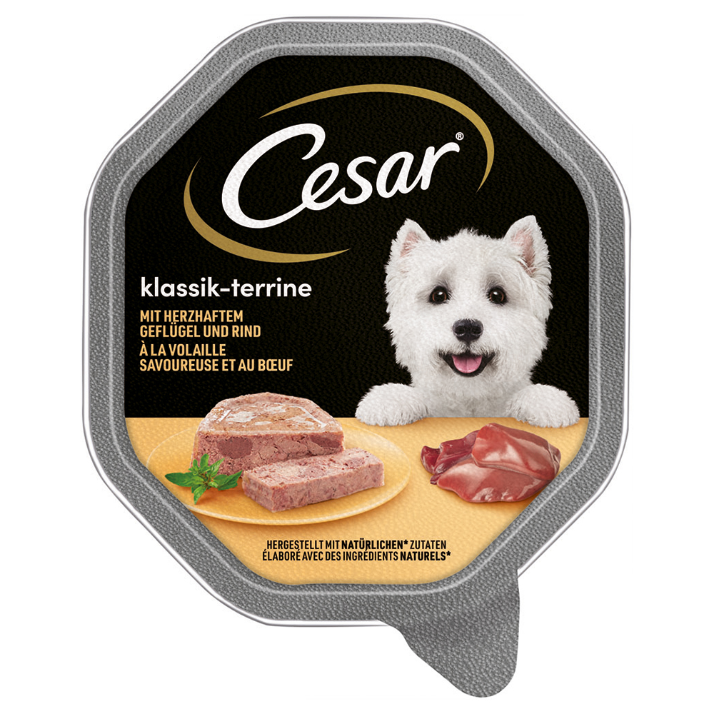Megapack Cesar Schale 14 x 150 g - Klassik-Terrine mit Geflügel und Rind Megapack Cesar Schale 14 x 150 g - Klassik-Terrine mit Geflügel und Rind von Cesar