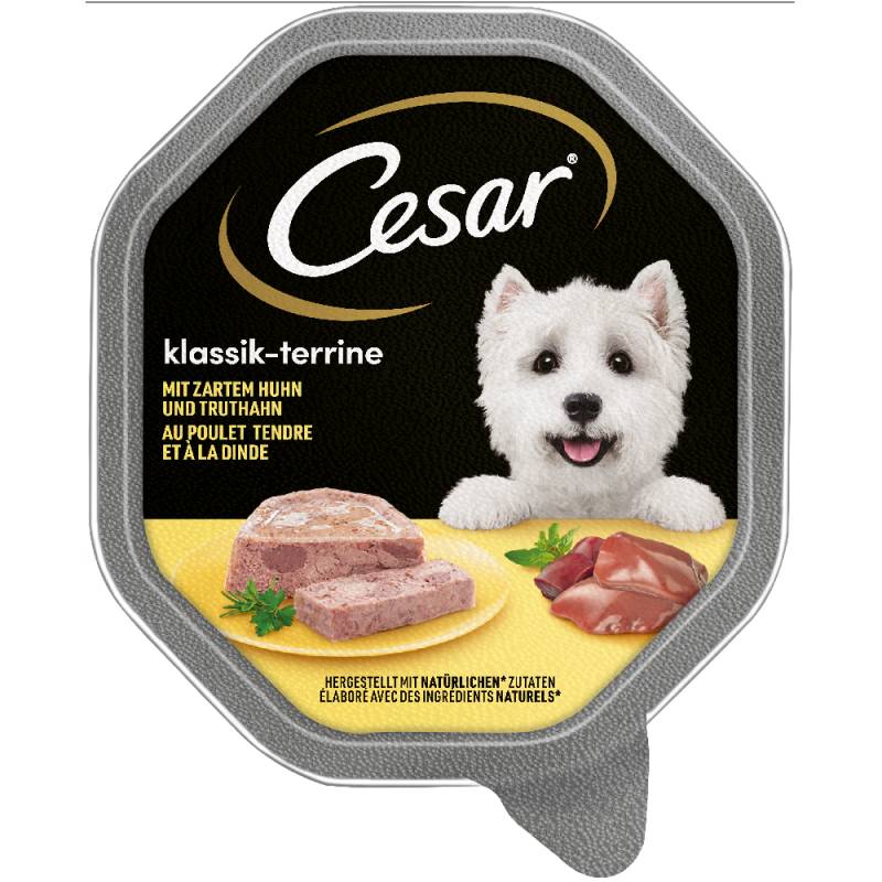 Megapack Cesar Schale 14 x 150 g - Klassiker mit zartem Huhn und Truthahn von Cesar