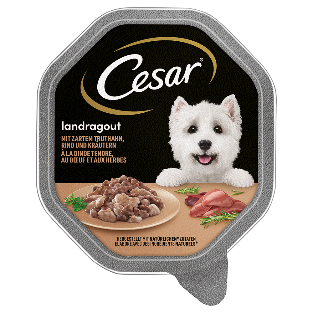 Megapack Cesar Schale 14 x 150 g - Landragout mit Truthahn, Rind und Kräutern von Cesar