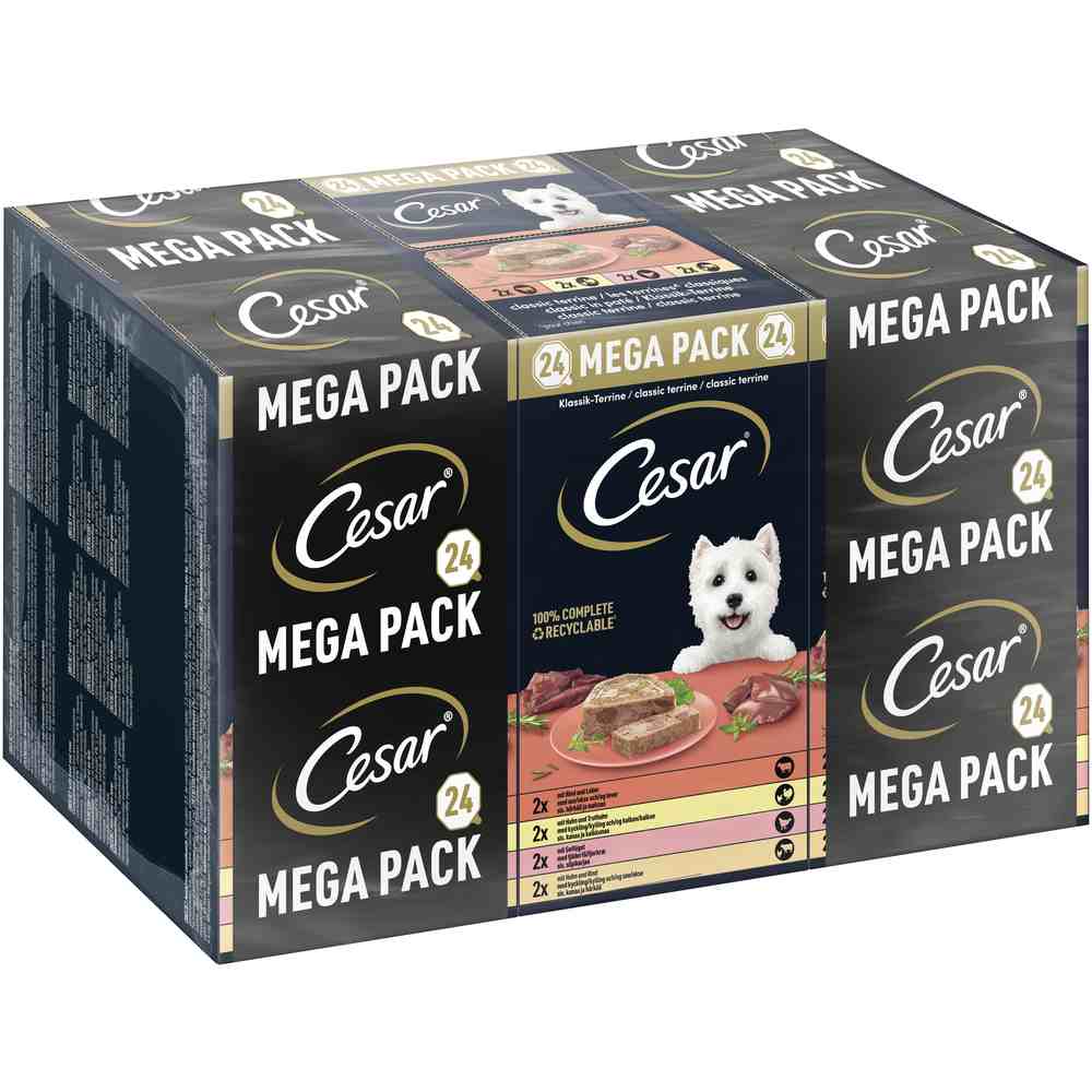 Megapack Cesar Schale 24 x 150 g - Classic Terrine Megapack Cesar Schale 24 x 150 g - Classic Terrine von Cesar