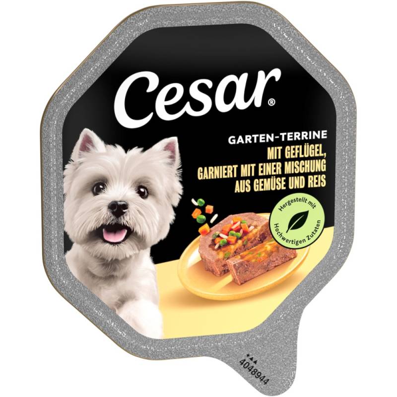 Megapack Cesar Schale 28 x 150 g - Geflügel, Gemüse und Reis von Cesar