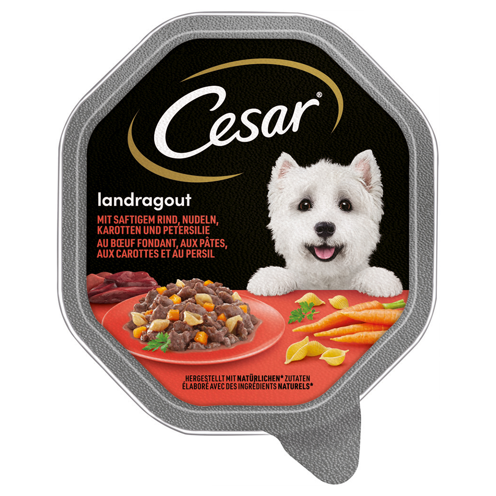 Megapack Cesar Schale 28 x 150 g - Landragout mit Rind, Nudeln und Karotten Megapack Cesar Schale 28 x 150 g - Landragout mit Rind, Nudeln und Karotten von Cesar