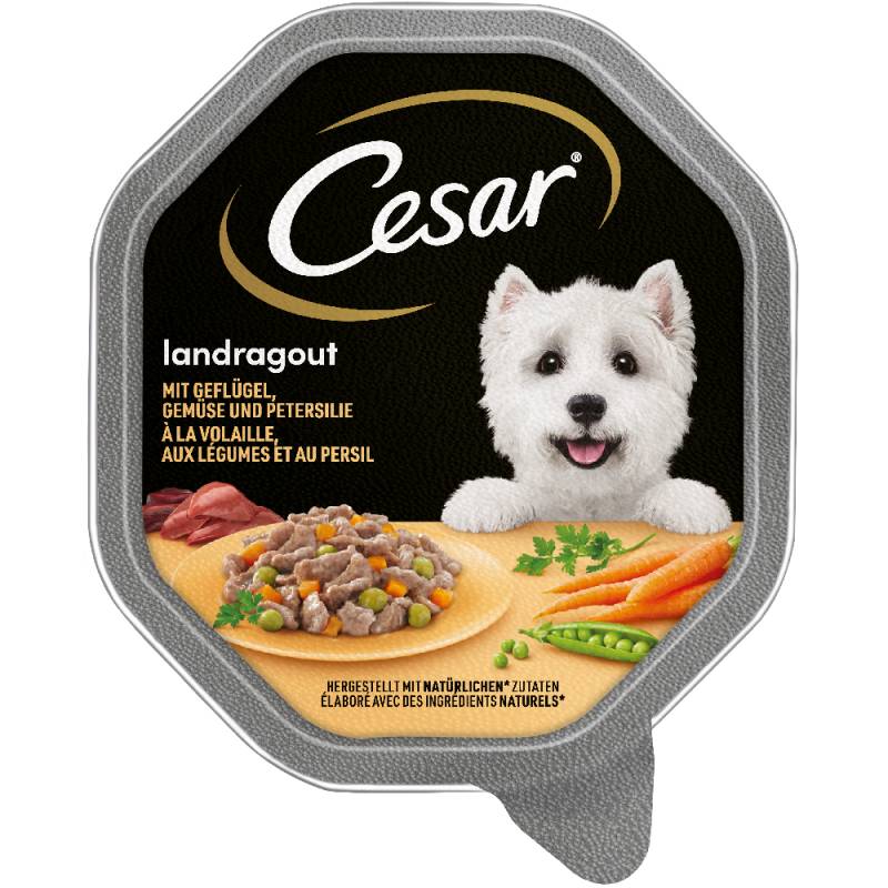 Megapack Cesar Schale 14 x 150 g - Landragout mit Geflügel, Gemüse und Petersilie in Sauce von Cesar