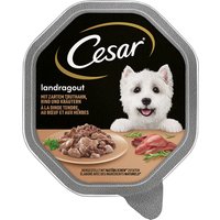 Sparpaket Cesar Schale 56 x 150 g - Landragout mit Truthahn, Rind und Kräutern von Cesar