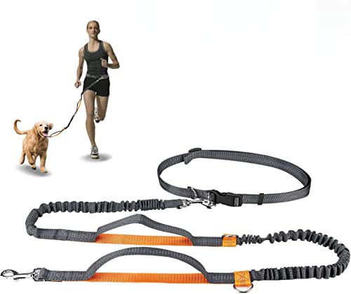 Winkeyes Einziehbare Hundeleine mit Zwei Bungees für Welpen, kleine und mittelgroße Hunde unter 110 Bs, Verstellbarer Taillengürtel 68,6-119,4 cm, reflektierende Nähte, zum Laufen, Wandern Winkeyes Einziehbare Hundeleine mit Zwei Bungees für Welpen, kleine und mittelgroße Hunde unter 110 Bs, Verstellbarer Taillengürtel 68,6-119,4 cm, reflektierende Nähte, zum Laufen, Wandern von CestMall