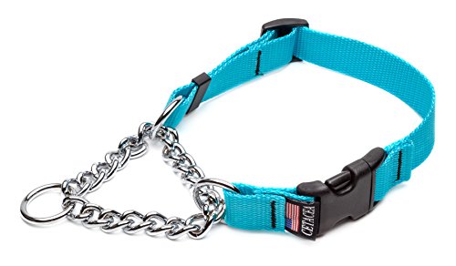 Cetacea Chain Martingale Hundehalsband mit Schnellverschluss, Größe M, Türkis von Cetacea