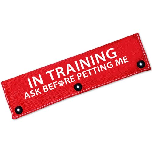 Cgvovgr Hundeleine, Aufschrift in Training "Ask Before Petting Me", lustiges Design, Rot Cgvovgr Hundeleine, Aufschrift in Training "Ask Before Petting Me", lustiges Design, Rot von Cgvovgr