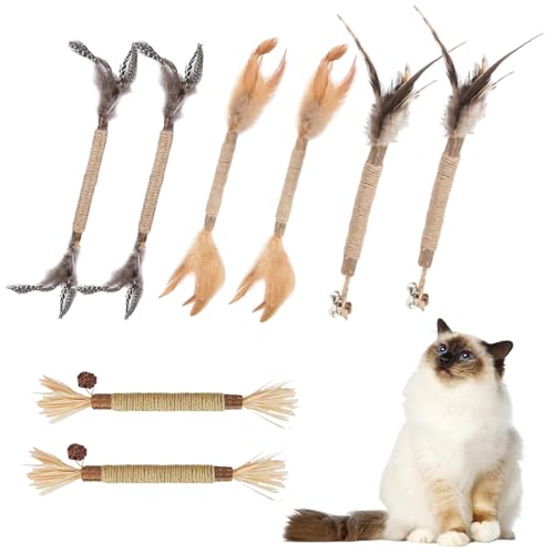 ChAusa 8 Stück Kausticks für Katzen, Matatabi Stick Katze, Katzenspielzeug, Sticks für Katzen Kaustangen, Katzensticks Zur Zahnreinigung Katze Zahnpflege Spielzeug für Kratzen, Spielen, Kauen ChAusa 8 Stück Kausticks für Katzen, Matatabi Stick Katze, Katzenspielzeug, Sticks für Katzen Kaustangen, Katzensticks Zur Zahnreinigung Katze Zahnpflege Spielzeug für Kratzen, Spielen, Kauen von ChAusa