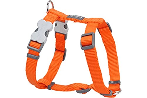 Chadog Red Dingo Geschirr, 29-46 cm, 12 mm, Orange von Chadog