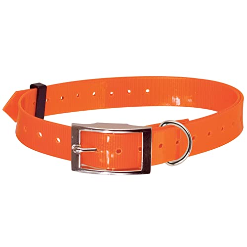 Doogy Hunde Halsband, Nylon/Polyurethan, 85 cm – 25 mm Doogy Hunde Halsband, Nylon/Polyurethan, 85 cm – 25 mm von Doogy