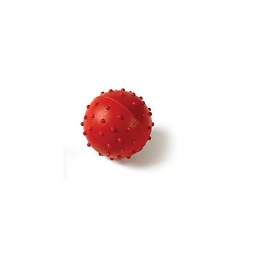Hundespielzeug: BALL aus Gummi mit Glocke Ø 5cm #500146 von Chadog