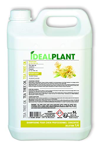 Chadog Shampooing Tea Tree Oil 5 l Ideal Pflanzen von Chadog