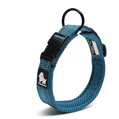 Chai's Choice - Premium Hundehalsband – weiches, gepolstertes, reflektierendes Hundehalsband für große, mittelgroße und kleine Hunde – passendes Geschirr und Leine erhältlich (M, blaugrün) von Chai's Choice