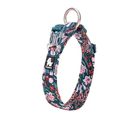 Chai's Choice - Premium Hundehalsband – weiches, gepolstertes, reflektierendes Hundehalsband für große, mittelgroße und kleine Hunde – passendes Geschirr und Leine erhältlich (XL, Blumenblau) von Chai's Choice