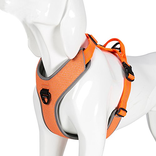 Chai's Choice - Premium Outdoor Explorer Hundegeschirr ohne Ziehen – 3M reflektierende Weste mit 2 Leinenclips, passende Leine und Halsband erhältlich (XL, Orange) von Chai's Choice