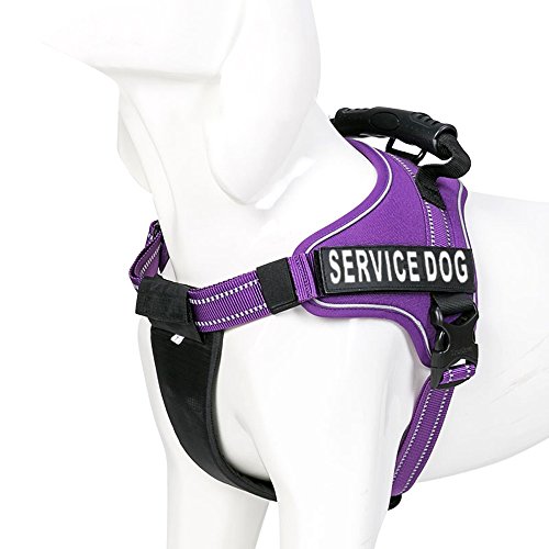Chai's Choice Service Dog Vest Harness Best with 2 Reflective Service Dog Patches. Passende reflektierende 3M-Leine erhältlich, Siehe Größentabelle links (L, Violett) von Chai's Choice