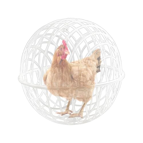 Chaies Hühnerkäfigball, Hühnerkugelkäfig, Outdoor Chicken Safety Ball Cage, Bewegbares Wandernetz Geflügelstall rund tragbare Kükengehäuse für Enten, Haustier & Farm Chaies Hühnerkäfigball, Hühnerkugelkäfig, Outdoor Chicken Safety Ball Cage, Bewegbares Wandernetz Geflügelstall rund tragbare Kükengehäuse für Enten, Haustier & Farm von Chaies