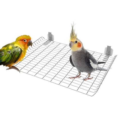 Chaies Käfig Sitzstangen Für Vögel - Edelstahl-Ständer Für Ziervögel | Spielzeug Zur Bewegung Und Beschäftigung Für Kleine, Mittelgroße Und Große Vogelarten Chaies Käfig Sitzstangen Für Vögel - Edelstahl-Ständer Für Ziervögel | Spielzeug Zur Bewegung Und Beschäftigung Für Kleine, Mittelgroße Und Große Vogelarten von Chaies