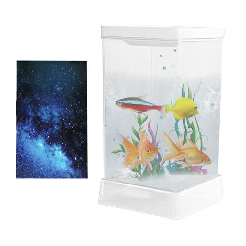 Chaies Kleines Betta Fisch Aquarium | Kampffisch Aquarium Mit LED-Beleuchtung & Filter Für Schreibtisch - Kleine Tischlandschaft Als Deko Für Wohnzimmer, Arbeitszimmer Und Wohnung von Chaies