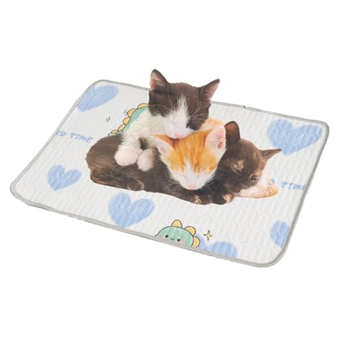 Chaies Kühlkissen für Hunde, Kühlmatte für Haustiere, Sommer-Haustierkissen, Faltbare Kühlbettmatten, Bequeme, atmungsaktive Kühlmatte, tragbare Pads für kleine, mittelgroße und große Hunde zu Hause Chaies Kühlkissen für Hunde, Kühlmatte für Haustiere, Sommer-Haustierkissen, Faltbare Kühlbettmatten, Bequeme, atmungsaktive Kühlmatte, tragbare Pads für kleine, mittelgroße und große Hunde zu Hause von Chaies