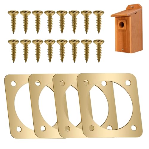 Chaies Raubtierschutz aus Metall für Bluebird House, Raubtierschutz von Bluebird House, 4 Stück Vogelhausschutz, Vogelhaus-Schutzgitter, Vogelhaus-Kupfergitter, Vogelhaus-Ersatzgitter Chaies Raubtierschutz aus Metall für Bluebird House, Raubtierschutz von Bluebird House, 4 Stück Vogelhausschutz, Vogelhaus-Schutzgitter, Vogelhaus-Kupfergitter, Vogelhaus-Ersatzgitter von Chaies
