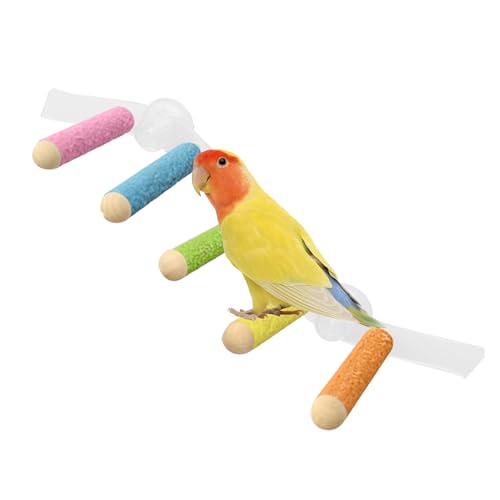 Chaies Sitzstange für Papageien, Kletterleiter für Nymphensittiche, multifunktionale Saugnapfstange für Papageien, Wellensittiche, Nymphensittiche Chaies Sitzstange für Papageien, Kletterleiter für Nymphensittiche, multifunktionale Saugnapfstange für Papageien, Wellensittiche, Nymphensittiche von Chaies