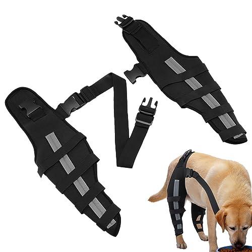 Hundestützen für Hinterbeine | Stützorthese für die Hüftgelenkpflege bei Hunden - Kurze Hinterbein-Sprunggelenkbandage für gerissenes Kreuzband, Hunde-Kniegelenkbandage für kleine und Chaies von Chaies
