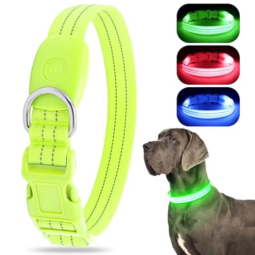 Hundehalsband Leuchtend USB Aufladbar Wasserdichtes LED Leuchthalsband für Kleine Mittlere Große Hunde Einstellbar Sicherheit Hundehalsband (S, Grün) von ChalkLit