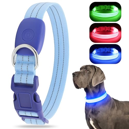 LED Leuchtend Hundehalsband, USB wiederaufladbar, wasserdicht, blinkendes Halsband, leuchtet im Dunkeln, für kleine, mittelgroße und große Hunde, verstellbar, Sicherheit für die Nacht LED Leuchtend Hundehalsband, USB wiederaufladbar, wasserdicht, blinkendes Halsband, leuchtet im Dunkeln, für kleine, mittelgroße und große Hunde, verstellbar, Sicherheit für die Nacht von ChalkLit