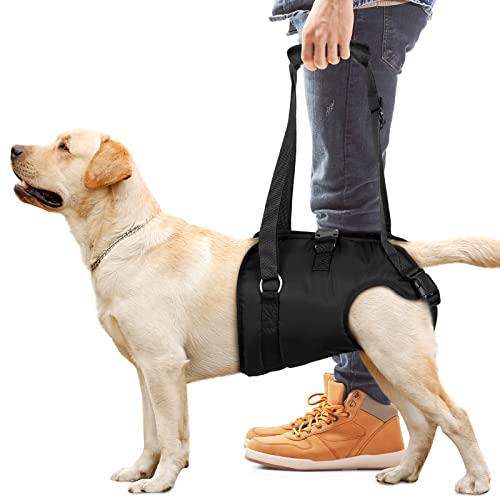 ChalkLit Dog Lift Harness, Dog Support Harness for Back Legs, Soft Dog Support Sling for Injured Disabled Small, Medium Large Dogs, Dog Sling for Back Legs (Extra Large) von ChalkLit