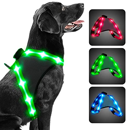 ChalkLit LED Hundegeschirr, Leuchtendes Wiederaufladbares Beleuchtetes Reflektierendes Hundegeschirr Leuchtet Im Dunkeln, LED Hunde-Sicherheitswestenlichter für Nachtspaziergänge (Grün, M) von ChalkLit