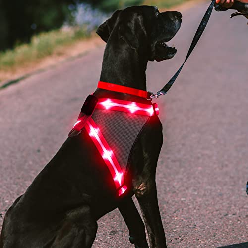 ChalkLit LED Hundegeschirr, Leuchtendes Wiederaufladbares Beleuchtetes Reflektierendes Hundegeschirr Leuchtet Im Dunkeln, LED Hunde-Sicherheitswestenlichter für Nachtspaziergänge (Rosa, L) von ChalkLit