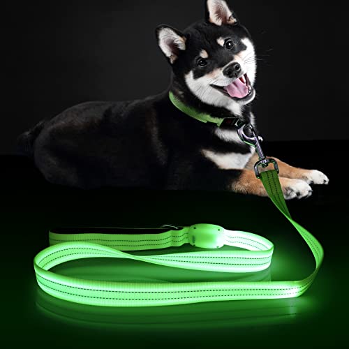 ChalkLit LED-Hundeleine, 1,2 m, weich, wiederaufladbar, wasserdicht, reflektierend, blinkend, mit gepolstertem Griff für nächtliche Spaziergänge, Sicherheit, leuchtet im Dunkeln, für große, von ChalkLit