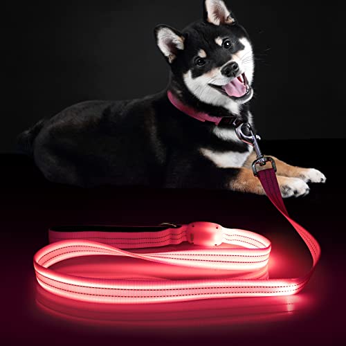 ChalkLit LED Hundeleine, Beleuchtete Hundeleine über USB Wiederaufladbar, 1,2 m, Weich Wasserdicht Reflektierend, für nächtliche Spaziergänge für große, mittelgroße Haustiere blinkende von ChalkLit