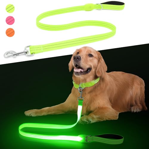 ChalkLit LED Hundeleine, Beleuchtete Hundeleine über USB Wiederaufladbar, 1,2 m, Weich Wasserdicht Reflektierend, für nächtliche Spaziergänge für große, mittelgroße Haustiere blinkende ChalkLit LED Hundeleine, Beleuchtete Hundeleine über USB Wiederaufladbar, 1,2 m, Weich Wasserdicht Reflektierend, für nächtliche Spaziergänge für große, mittelgroße Haustiere blinkende von ChalkLit