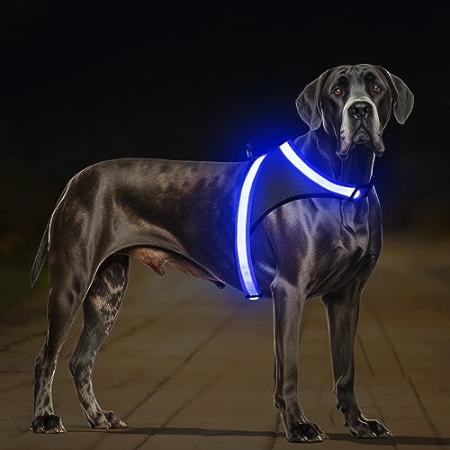 ChalkLit LED Leuchtendes Hundegeschirr USB Wiederaufladbares Vollständig Beleuchtetes Hundegeschirr Leuchtet Im Dunkeln für Nachtspaziergänge Sicherheitsweste, mittelgroße große Hunde(Blau, XL) von ChalkLit