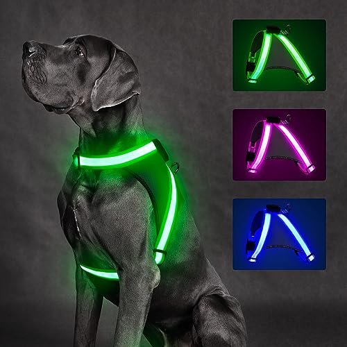 ChalkLit LED Leuchtendes Hundegeschirr USB Wiederaufladbares Vollständig Beleuchtetes Hundegeschirr Leuchtet Im Dunkeln für Nachtspaziergänge Sicherheitsweste, mittelgroße große Hunde(Grün, M) von ChalkLit