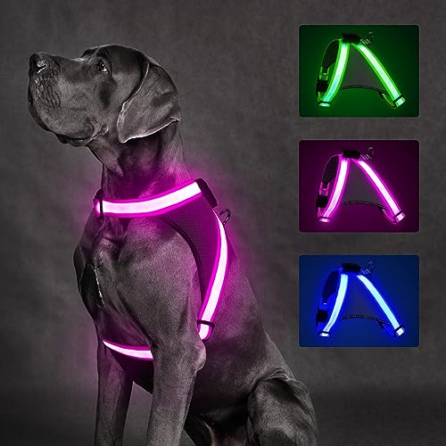 ChalkLit LED Leuchtendes Hundegeschirr USB Wiederaufladbares Vollständig Beleuchtetes Hundegeschirr Leuchtet Im Dunkeln für Nachtspaziergänge Sicherheitsweste, mittelgroße große Hunde(Rosa, M) von ChalkLit