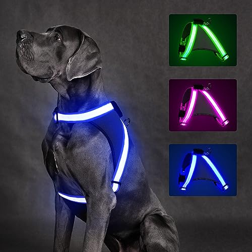 ChalkLit LED Leuchtendes Hundegeschirr USB Wiederaufladbares Vollständig Beleuchtetes Hundegeschirr Leuchtet Im Dunkeln für Nachtspaziergänge Sicherheitsweste, mittelgroße große Hunde (Blau, M) von ChalkLit