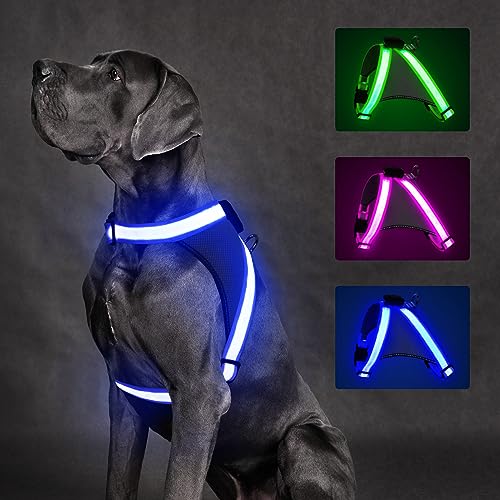 ChalkLit LED Leuchtendes Hundegeschirr USB Wiederaufladbares Vollständig Beleuchtetes Hundegeschirr Leuchtet Im Dunkeln für Nachtspaziergänge Sicherheitsweste, mittelgroße große Hunde (Blau, M) von ChalkLit