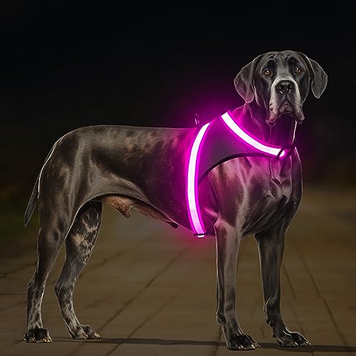 ChalkLit LED Leuchtendes Hundegeschirr USB Wiederaufladbares Vollständig Beleuchtetes Hundegeschirr Leuchtet Im Dunkeln für Nachtspaziergänge Sicherheitsweste, mittelgroße große Hunde (Rosa, L) von ChalkLit