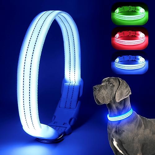 Chalklit LED-Hundehalsband, wiederaufladbar, wasserdicht, reflektierend, verstellbar, blinkend, leuchtet im Dunkeln, für kleine, mittelgroße und große Hunde, Sicherheit bei Nacht (Medium, Blau) Chalklit LED-Hundehalsband, wiederaufladbar, wasserdicht, reflektierend, verstellbar, blinkend, leuchtet im Dunkeln, für kleine, mittelgroße und große Hunde, Sicherheit bei Nacht (Medium, Blau) von ChalkLit