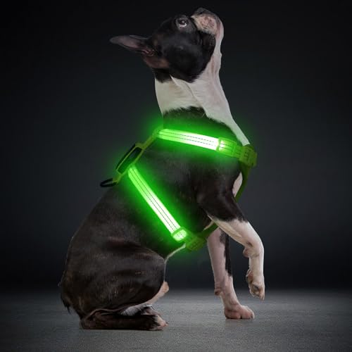 LED Hundegeschirr für kleine Hunde USB-C Wiederaufladbares Beleuchtetes Hundegeschirr Leuchtet Im Dunkeln welpengeschirr xs s Hundeweste Reflektierend für Nachtspaziergänge (Grün) von ChalkLit